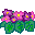 花影