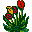 赛花
