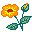 花生活